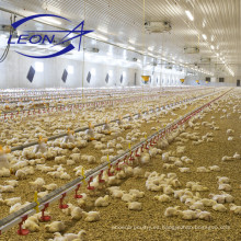 Equipo de granja avícola de pollos de engorde automático serie Leon con certificado CE